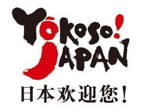 日本房產(chǎn)投資注意事項,日本泡澡注意事項,日本高濃度vc注意事項