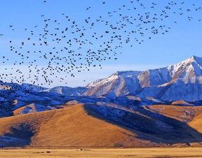高原,注意事項,地區,旅游