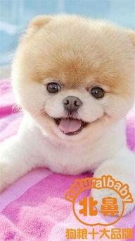 例假,母狗,注意事項