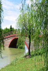 森林公園,注意事項,規劃