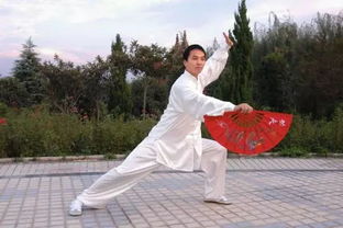 太極拳24式注意事項