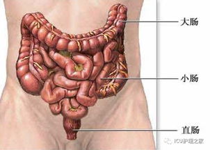 結腸,注意事項,灌洗