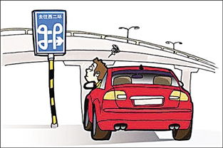 駕車(chē),出游,注意事項