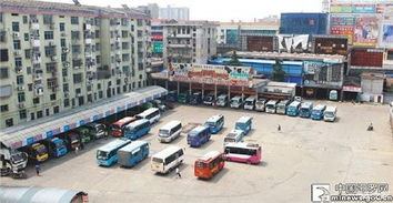 超全面的新手駕車(chē)技巧及注意事項