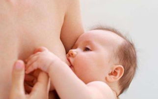 吃奶,注意事項,嬰兒