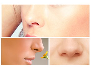 鼻漏注意事項
