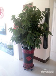 平安,養殖,注意事項,冬季