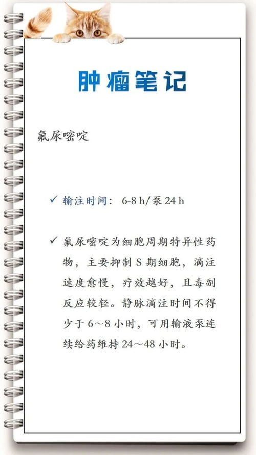 注意事項,丙泊酚輸注