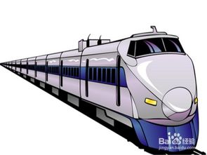 乘火車(chē)流程及注意事項,乘火車(chē)的注意事項,養貓常識及注意事項