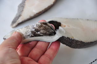 做比目魚(yú)的注意事項