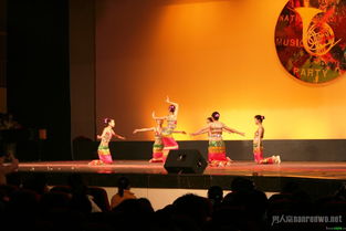 注意事項,演出,表演