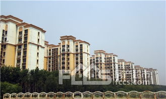 套房,注意事項,全款