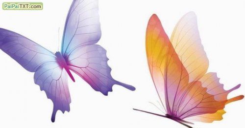 愛(ài)到深處情更真