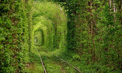 別言，人生若只如初見(jiàn)