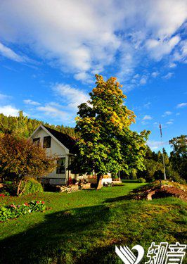 七十年的愛(ài)情，一輩子的遺憾