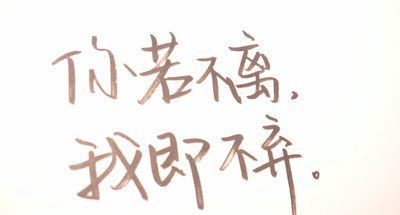 不離不棄的愛(ài)