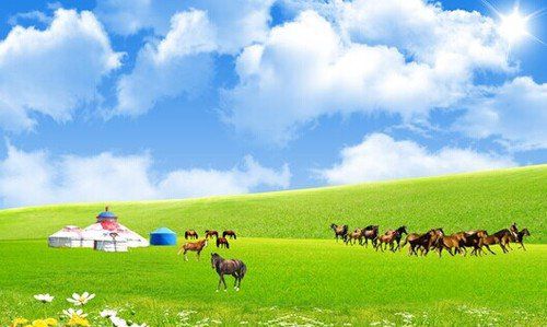 我是騎者，策馬向愛(ài)