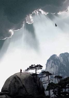 葉子的離開(kāi)，并不是風(fēng)的追求，更不是樹(shù)的不挽