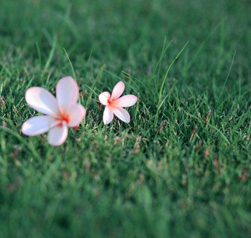 給別人一次挽回的余地