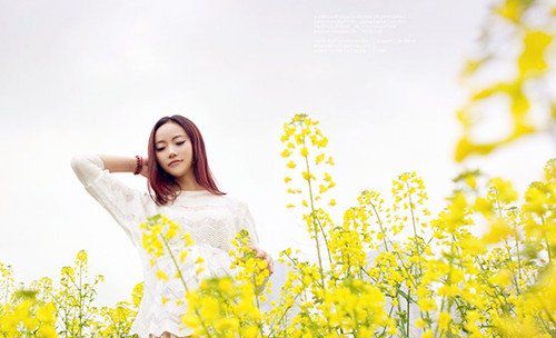 就這樣與你相見(jiàn)