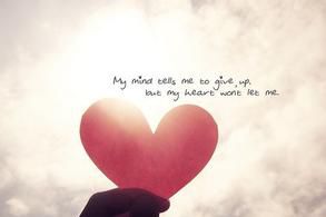 情撼費城 重婚丈夫凄美的“背叛”