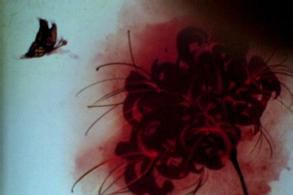 此岸情，彼岸花