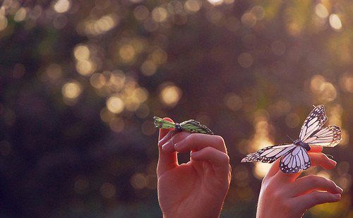 你是最美的魚(yú)