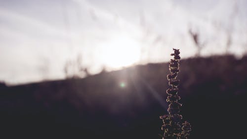 連載中重生之文娛教父小說(shuō)諸葛明方正中章節閱讀