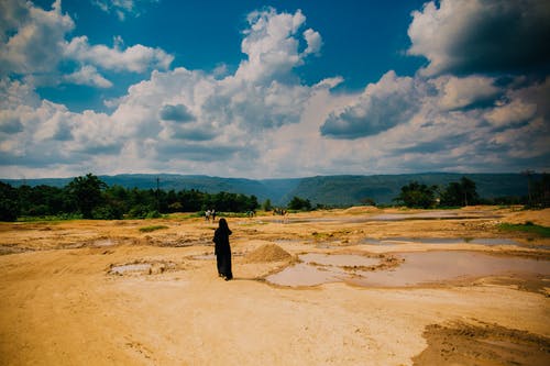 爽文圣醫歸家小說(shuō)楊凜封許挽歌整本閱讀 爽文圣醫歸家小說(shuō)楊凜封許挽歌整本閱讀