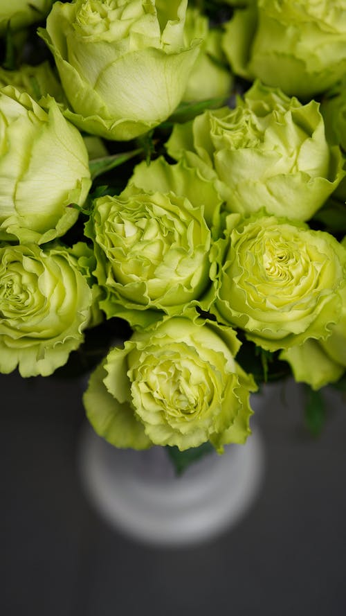 五年級寫(xiě)人作文我的火苗爸爸