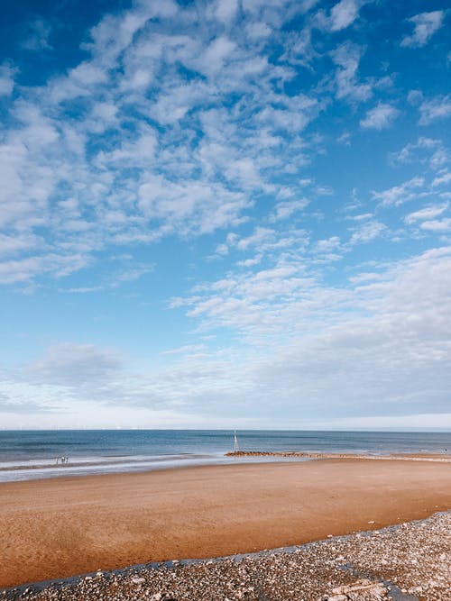 異能絕色總裁的貼身保安小說(shuō)張路許思雨全文閱讀