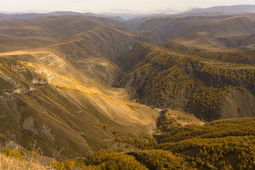趙小花賀謙之賀元小說(shuō)抖音穿越農家完結版閱讀