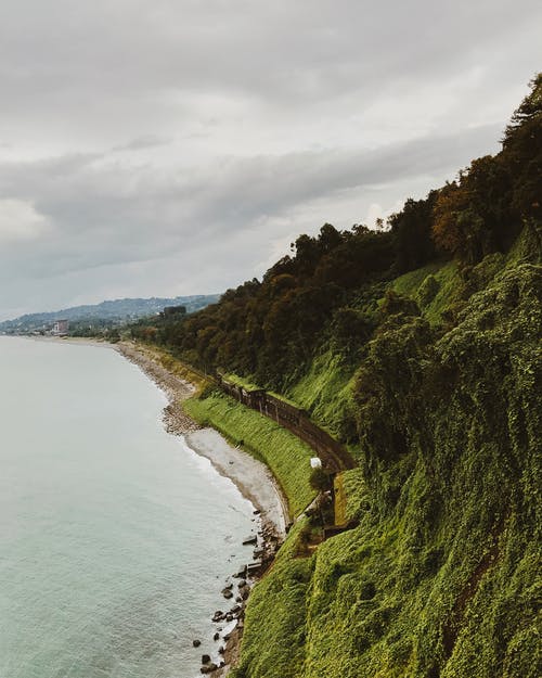 閱讀，我該拿你怎么辦？