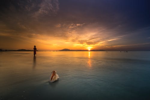 端午節的兒童詩(shī)歌