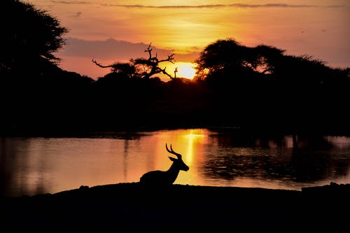 解讀什么是讀書(shū)筆記？
