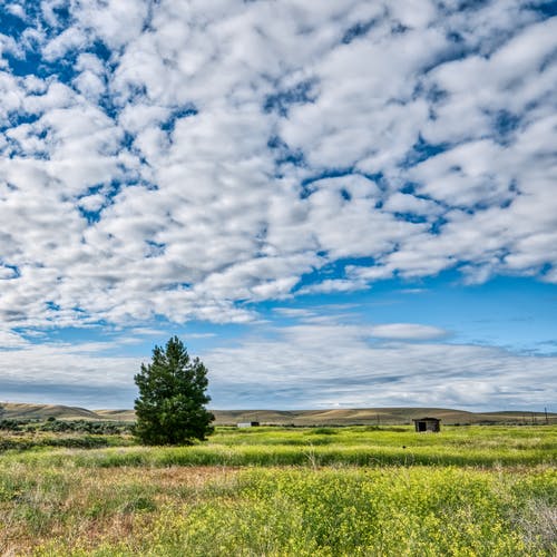 友誼如花，清香漫灑
