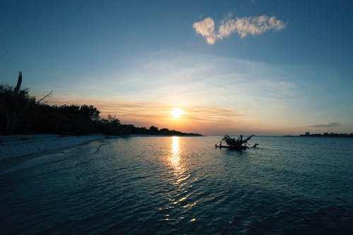 全能女戰神又颯又美小說(shuō)爽文云裳薄司絕章節閱讀