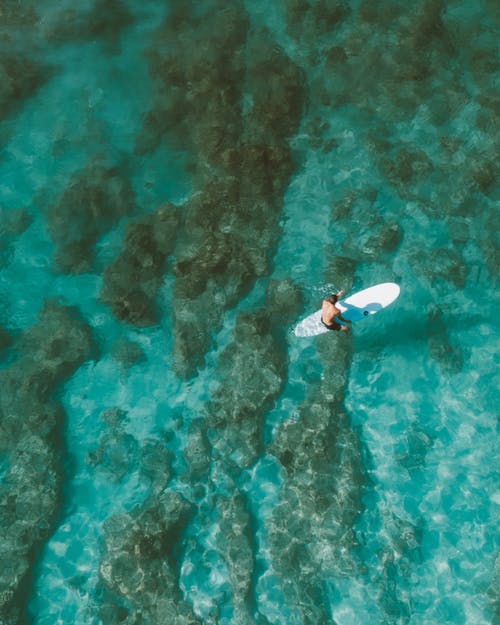 爽文超凡醫婿小說(shuō)秦銘林婉清在線(xiàn)閱讀