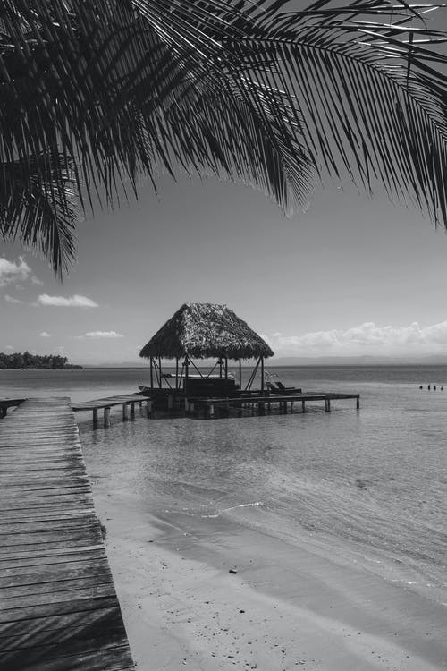 文言文岳飛故事翻譯