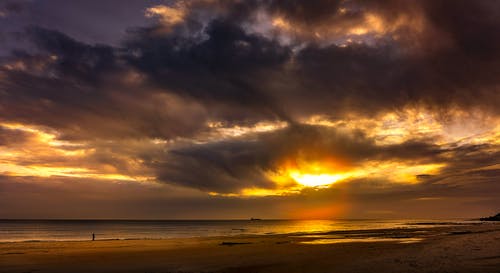 觀(guān)察螞蟻日記范文八篇