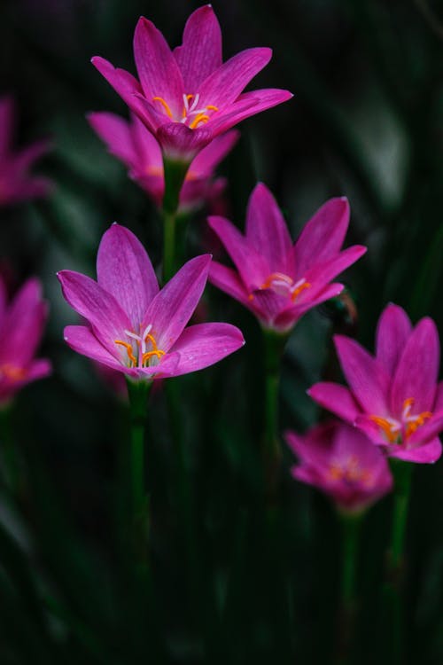 現言吃軟飯真香小說(shuō)王皓塵陶圓在線(xiàn)閱讀