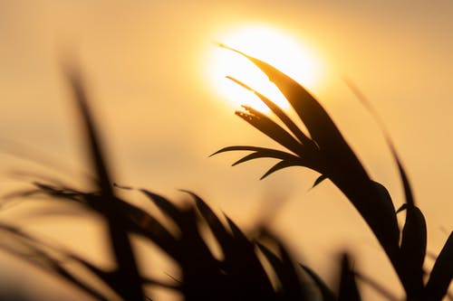 五年級寫(xiě)人作文啰嗦的老媽 五年級寫(xiě)人作文啰嗦的老媽