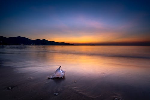 生命的價(jià)值取決于我們自身勵志