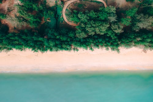 有關(guān)寫(xiě)給病人的祝福語(yǔ)