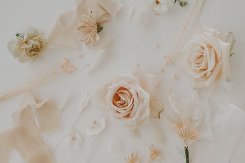 超級至尊狂爸小說(shuō)陳立謝君婉免廣告閱讀