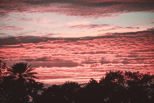 【熱門(mén)】二年級日記范文集合10篇