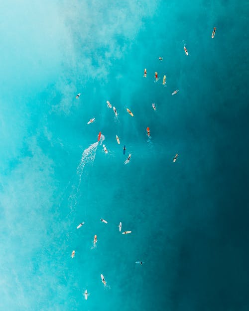 五年級寫(xiě)人作文外婆的駝背