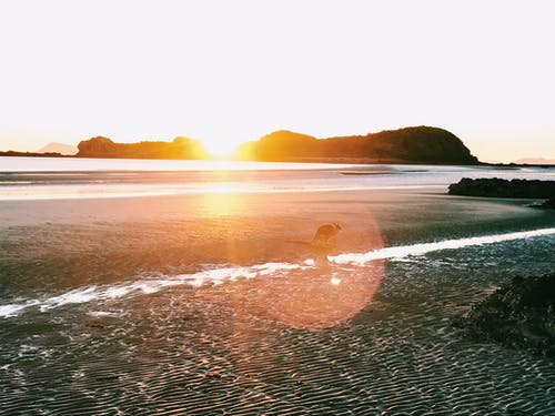 我的絕世嬌妻小說(shuō)已完結寧紀林薇章節閱讀