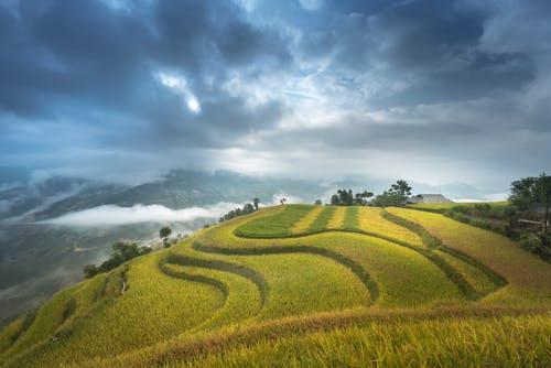 強推重生之仙帝狂婿小說(shuō)林風(fēng)葉雨煙無(wú)彈窗閱讀
