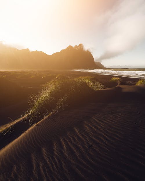 你若懂得，歲月自會(huì )靜好美文